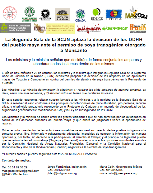 La segunda sala de la SCJN aplaza la decisión de los DDHH del pueblo maya  ante el permiso de soya transgénica otorgado a Monsanto - CEMDA