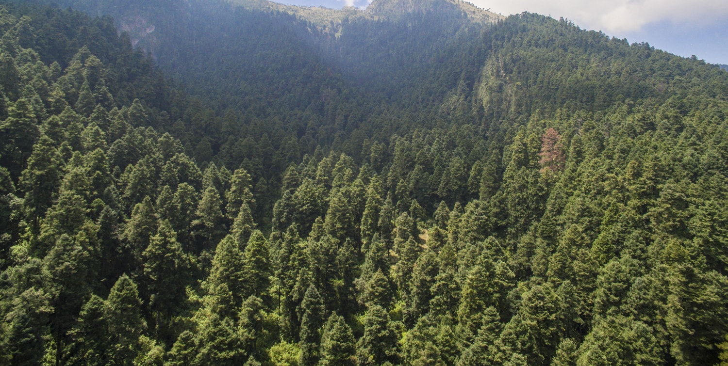 Obtiene victoria la comunidad de Valle de Bravo para la defensa y protección del medio ambiente