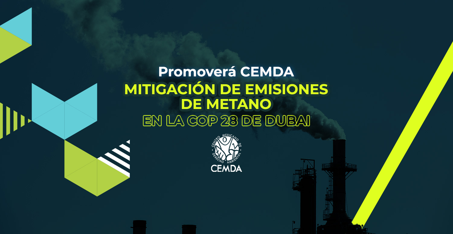 Promoverá CEMDA mitigación de emisiones de metano en  la COP 28 de Dubai