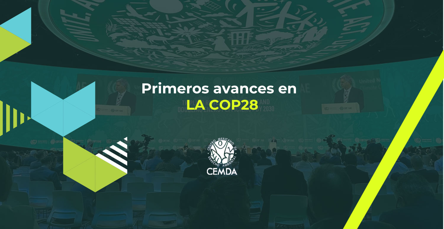 Primeros avances en la COP28