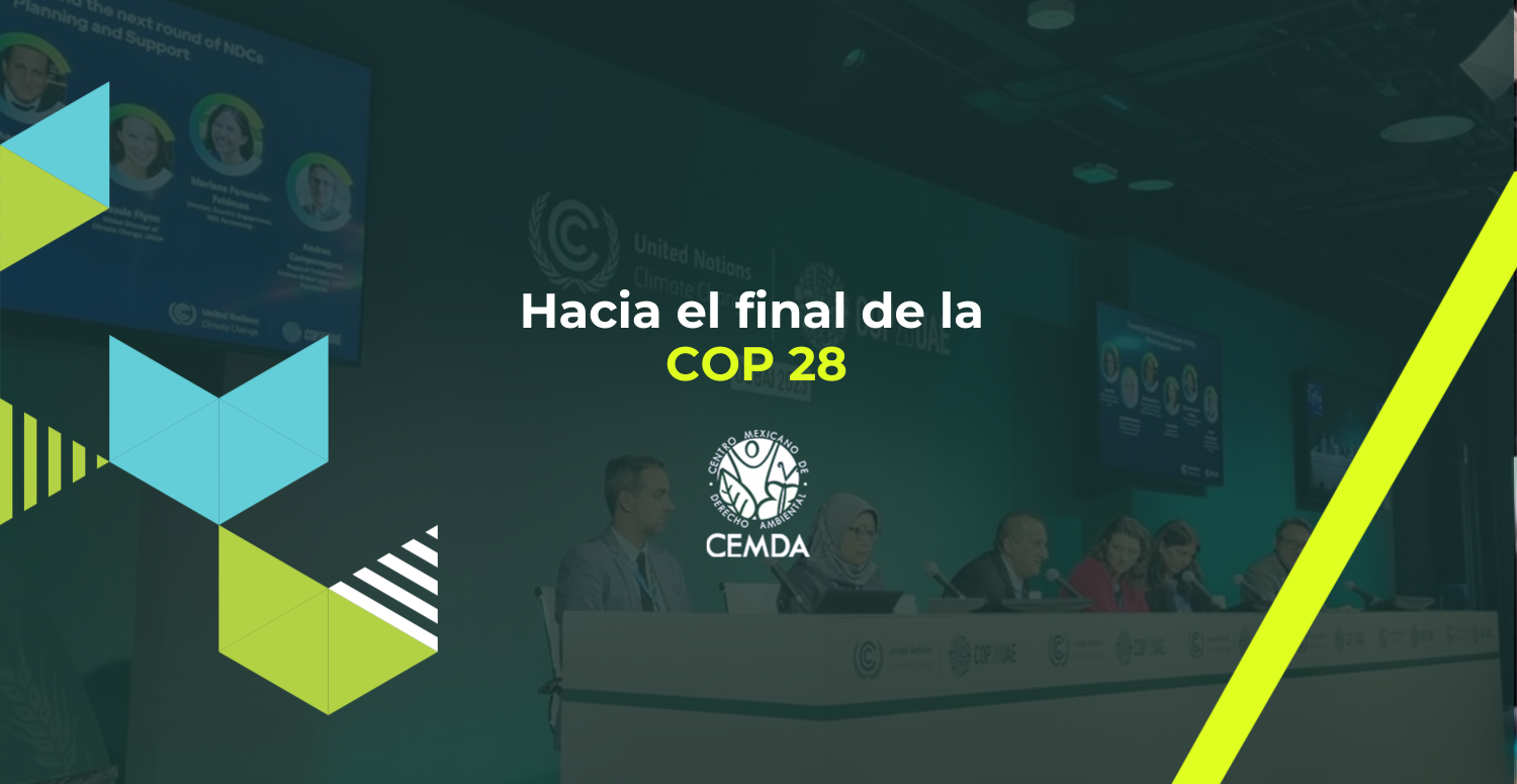 Hacia el final de la COP28