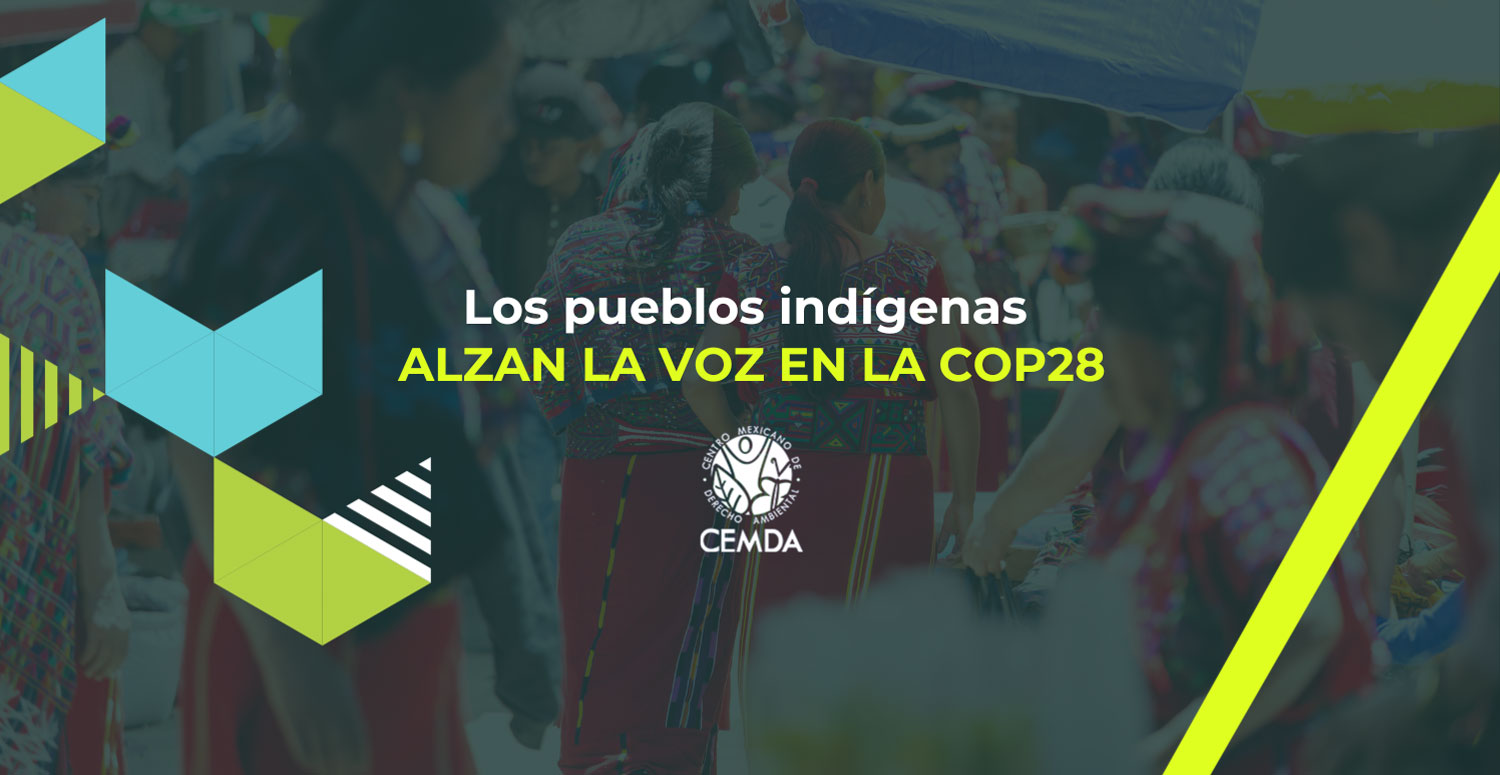 Los pueblos indígenas alzan la voz en la COP28