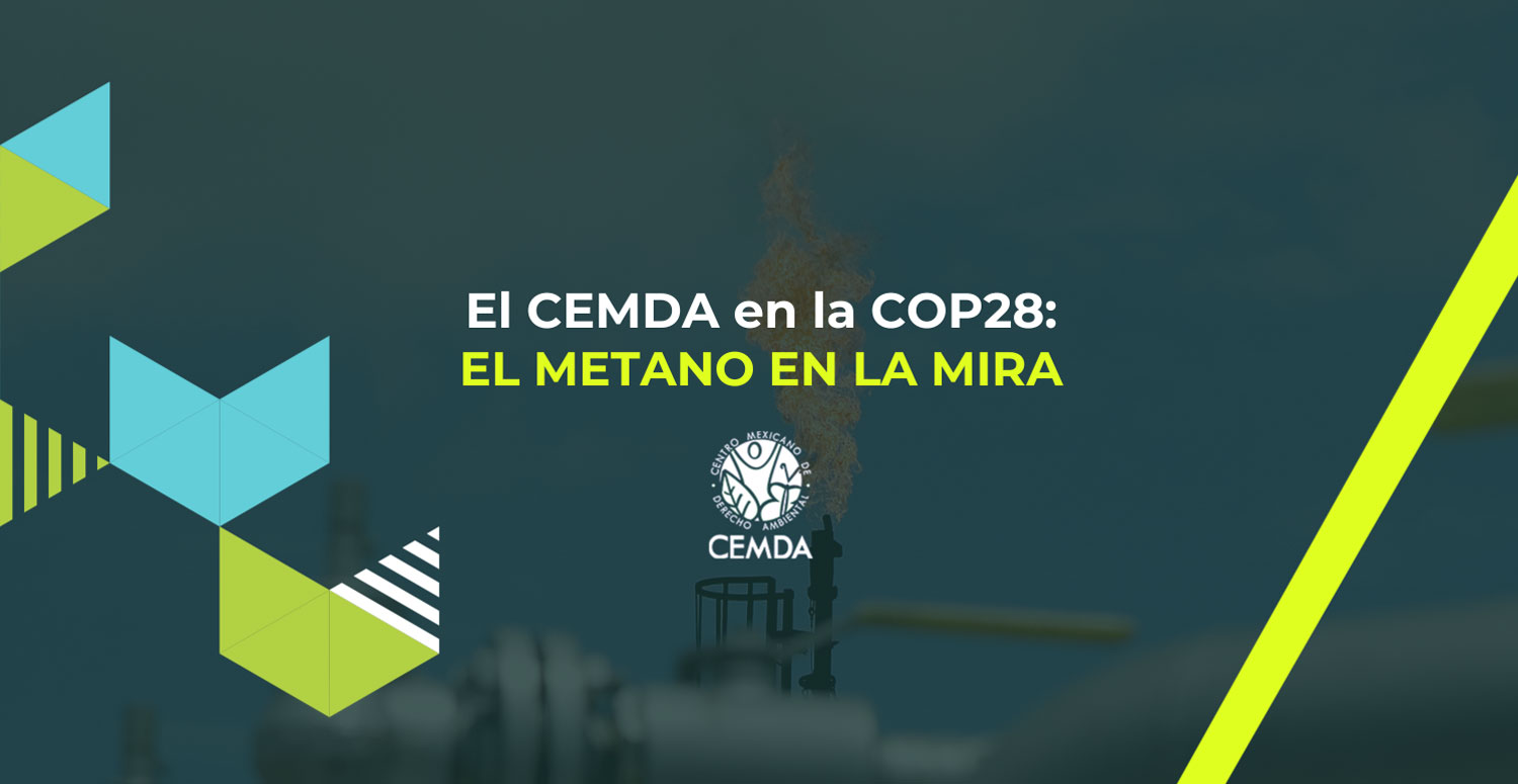 El CEMDA en la COP28: el metano en la mira