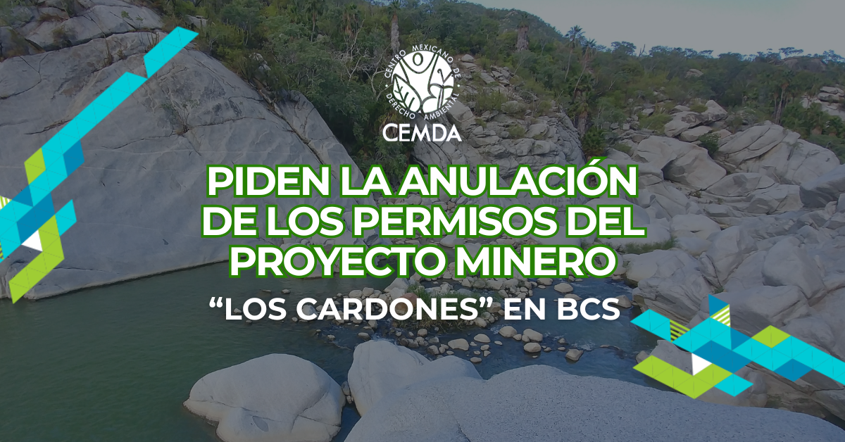 MÁS DE 13 MIL PERSONAS, OSC Y COLECTIVOS PIDEN LA ANULACIÓN DE LOS PERMISOS DEL PROYECTO MINERO “LOS CARDONES” EN BCS