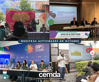 Newsletter Octubre 2024