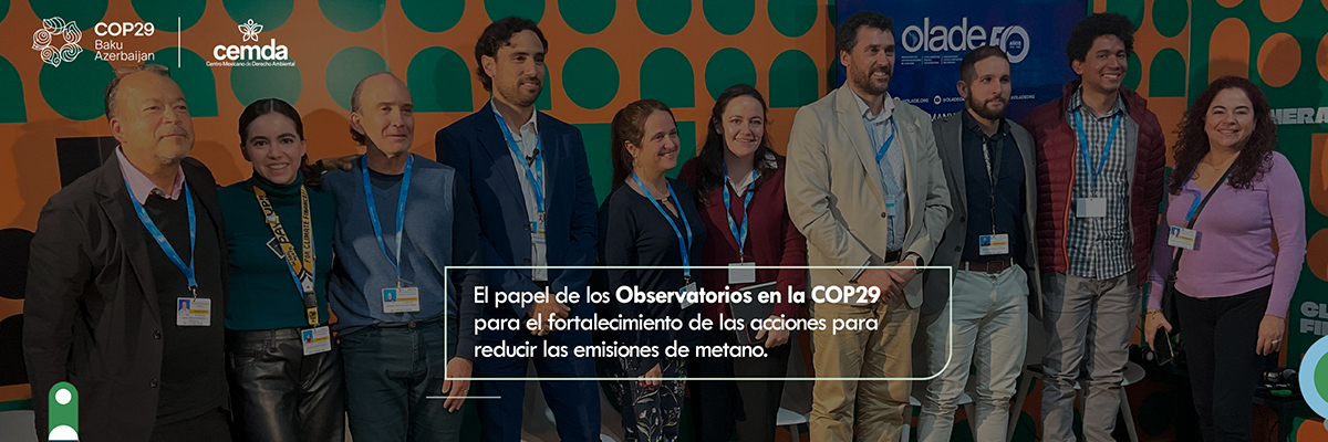 COP 29