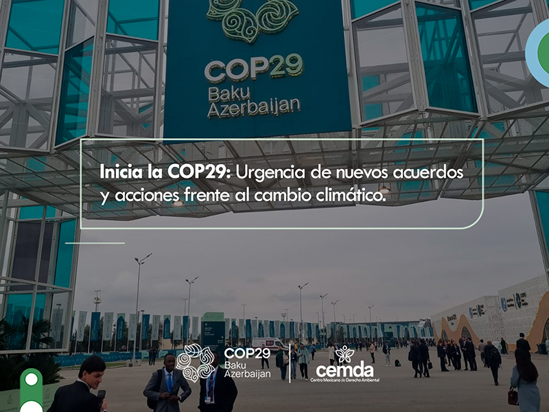 Inicia la COP29: Urgencia de nuevos acuerdos y acciones frente al cambio climático.