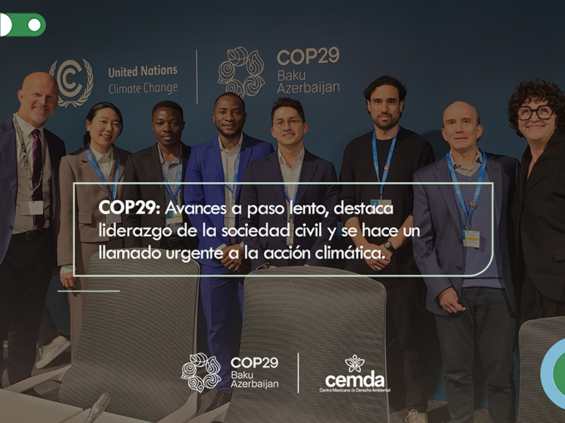 COP29: Avances a paso lento, destaca liderazgo de la sociedad civil y se hace un llamado urgente a la acción climática.