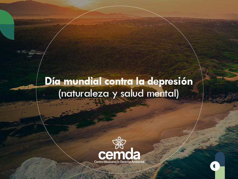 Defender nuestras playas es clave para la salud mental y contra la depresión