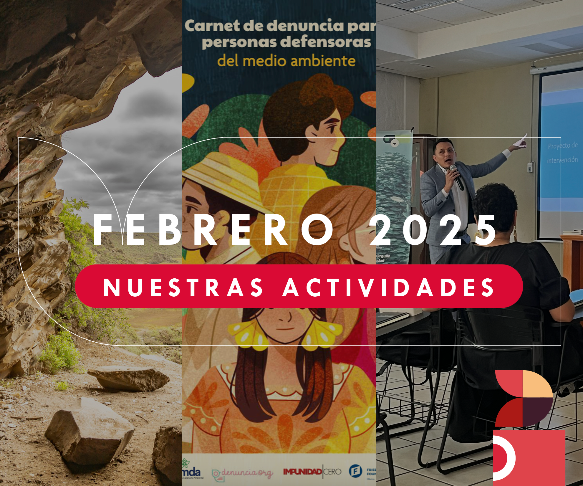 Newsletter de Actividades Febrero 2025