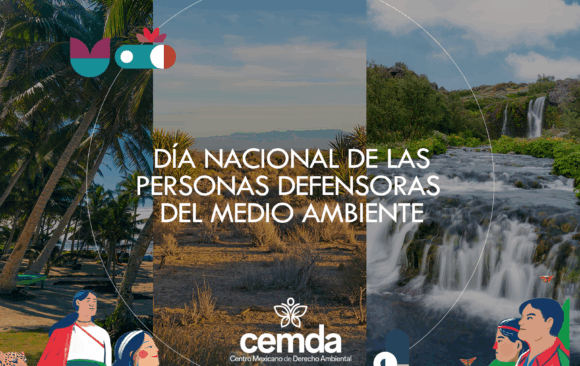 Todos los días son para celebrar y defender a los defensores