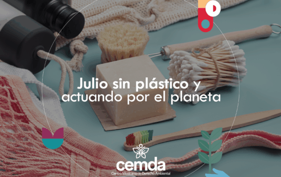 Julio sin plástico y actuando por el planeta