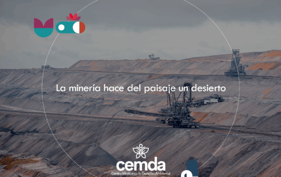 La minería hace del paisaje un desierto
