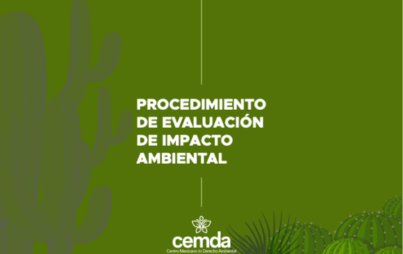 Procedimiento de Evaluación de Impacto Ambiental