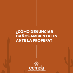 ¿Cómo denunciar daños ambientales ante la PROFEPA?