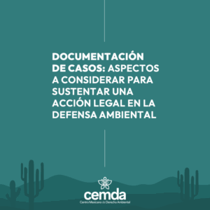 Documentación de casos: aspectos a considerar para sustentar una acción legal en la defensa ambiental