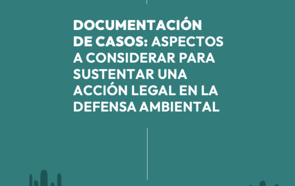 Documentación de casos: aspectos a considerar para sustentar una acción legal en la defensa ambiental