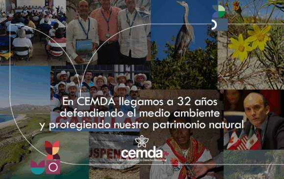 En CEMDA llegamos a 32 años defendiendo el medio ambiente y protegiendo nuestro patrimonio natural