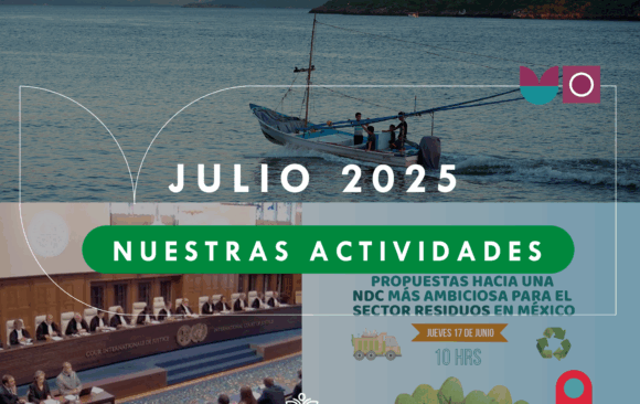 Newsletter julio 2025