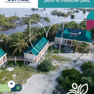 Implicaciones de la reforma energética para la transición justa
