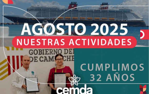 Newsletter agosto 2025