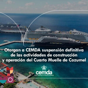 Otorgan a CEMDA suspensión definitiva de las actividades de construcción y operación del Cuarto Muelle de Cozumel