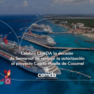 Celebra CEMDA la decisión de Semarnat de revocar la autorización al proyecto Cuarto Muelle de Cozumel