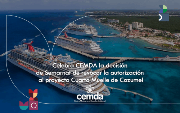 Celebra CEMDA la decisión de Semarnat de revocar la autorización al proyecto Cuarto Muelle de Cozumel