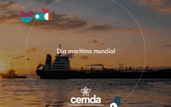 ¡A celebrar y a cuidar los mares!