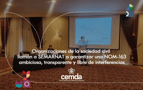 Organizaciones de la sociedad civil llaman a SEMARNAT a garantizar una NOM-163 ambiciosa, transparente y libre de interferencias