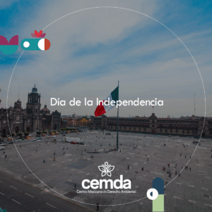 Celebrar a México es conservar sus nopales y toda su diversidad