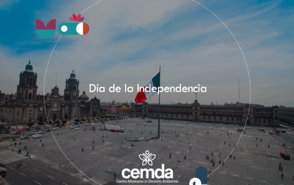 Celebrar a México es conservar sus nopales y toda su diversidad