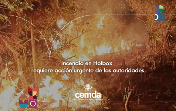 Incendio en Holbox requiere acción urgente de las autoridades