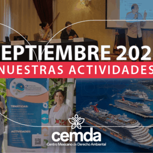 Newsletter septiembre 2025