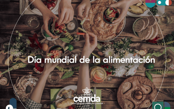 ¡Comer todos y todas y comer mejor para salvar el planeta!