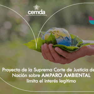 Proyecto de la Suprema Corte de Justicia de la Nación sobre amparo ambiental limita el interés legítimo