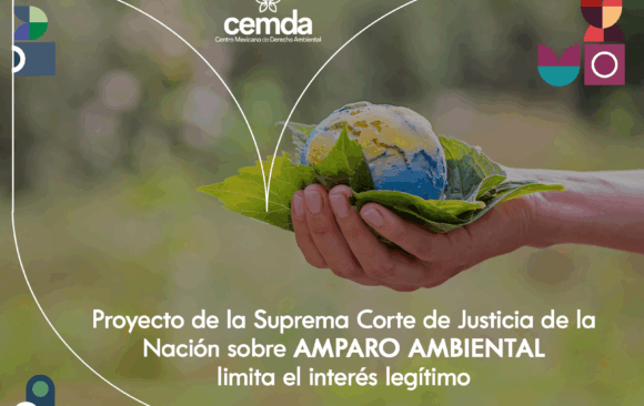 Proyecto de la Suprema Corte de Justicia de la Nación sobre amparo ambiental limita el interés legítimo