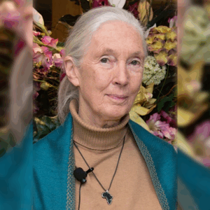 ¡Adiós, doctora Jane Goodall!