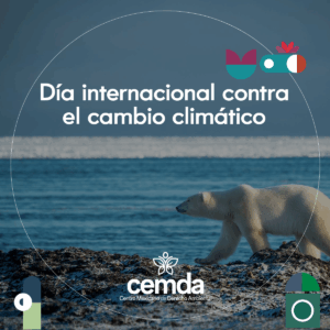 La energía renovable toma la delantera, pero queda mucho por hacer