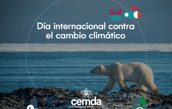 La energía renovable toma la delantera, pero queda mucho por hacer