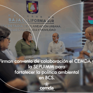 Firman convenio de colaboración el CEMDA y la SEPUIMM para fortalecer la política ambiental en BCS