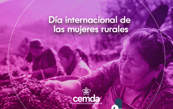 Las mujeres del campo, las luchas y las injusticias