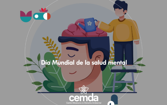 En el Día de la Salud Mental hay que luchar por lo verde, los cuidados y los encuentros
