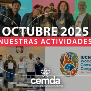 Newsletter octubre 2025