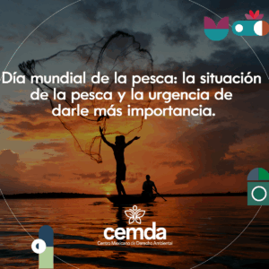 CMD_800x600 Con el mar la vida es más sabrosa… y sin él, no tiene futuro.