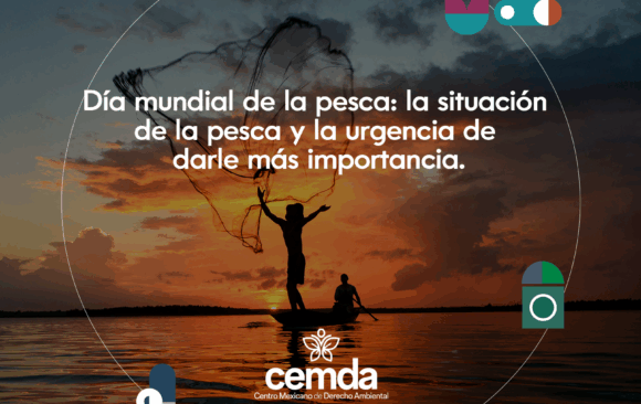 Con el mar la vida es más sabrosa… y sin él, no tiene futuro.