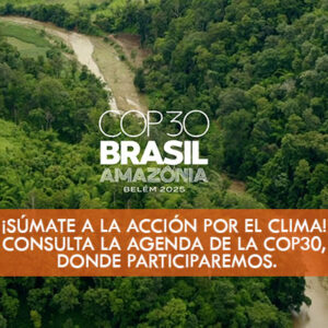 ¡Súmate a la acción por el clima! Consulta la agenda de la COP30, donde participaremos.