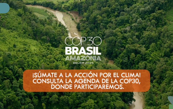 ¡Súmate a la acción por el clima! Consulta la agenda de la COP30, donde participaremos.