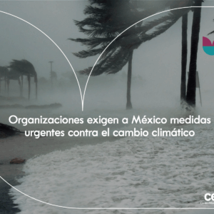 Organizaciones exigen a México medidas urgentes contra el cambio climático