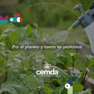 800 x 600 Banner web ¡Por el planeta y contra los pesticidas!